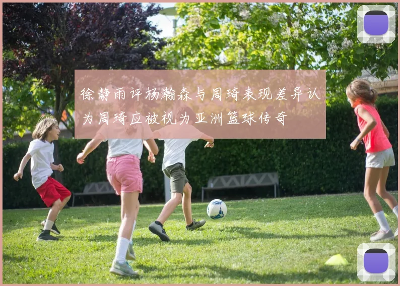 徐静雨评杨瀚森与周琦表现差异认为周琦应被视为亚洲篮球传奇